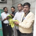 बीकानेर में फल एवं सब्जी विक्रेताओं से लिये 88 नमूने